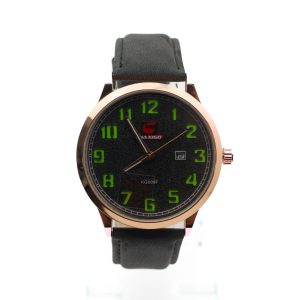 KG009F1